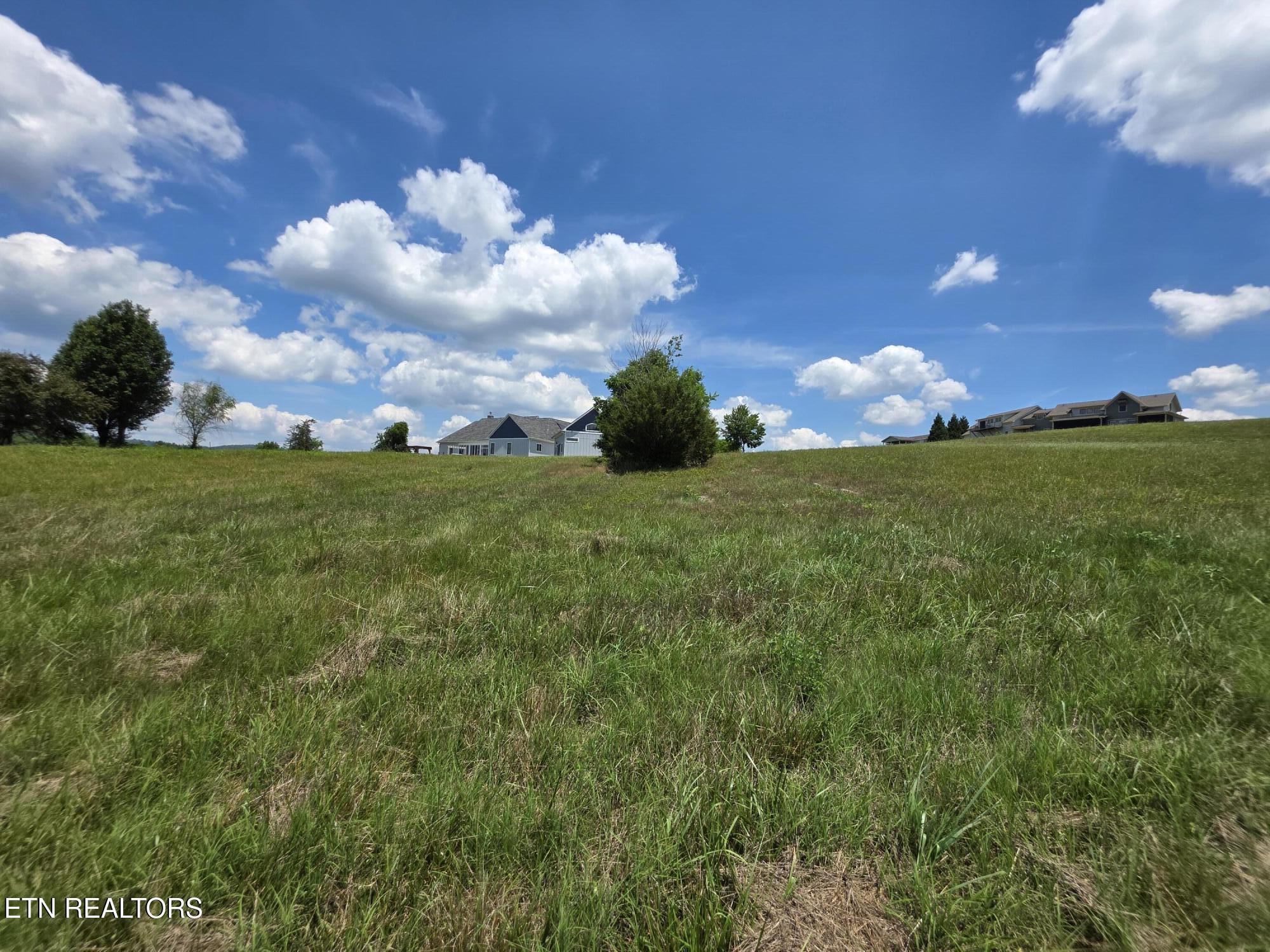 Norris Lake Real Estate - Image# 16