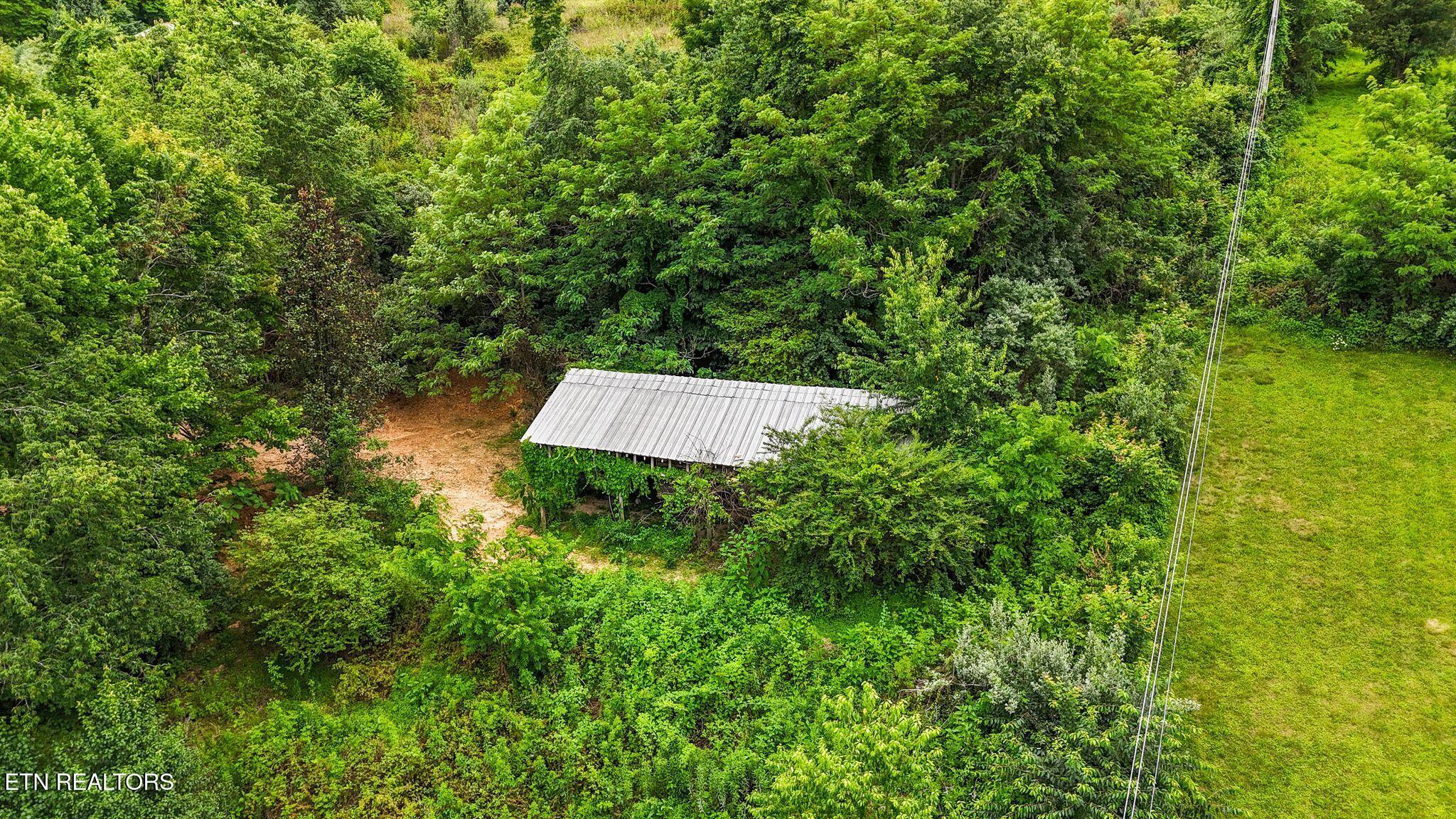 Norris Lake Real Estate - Image# 47