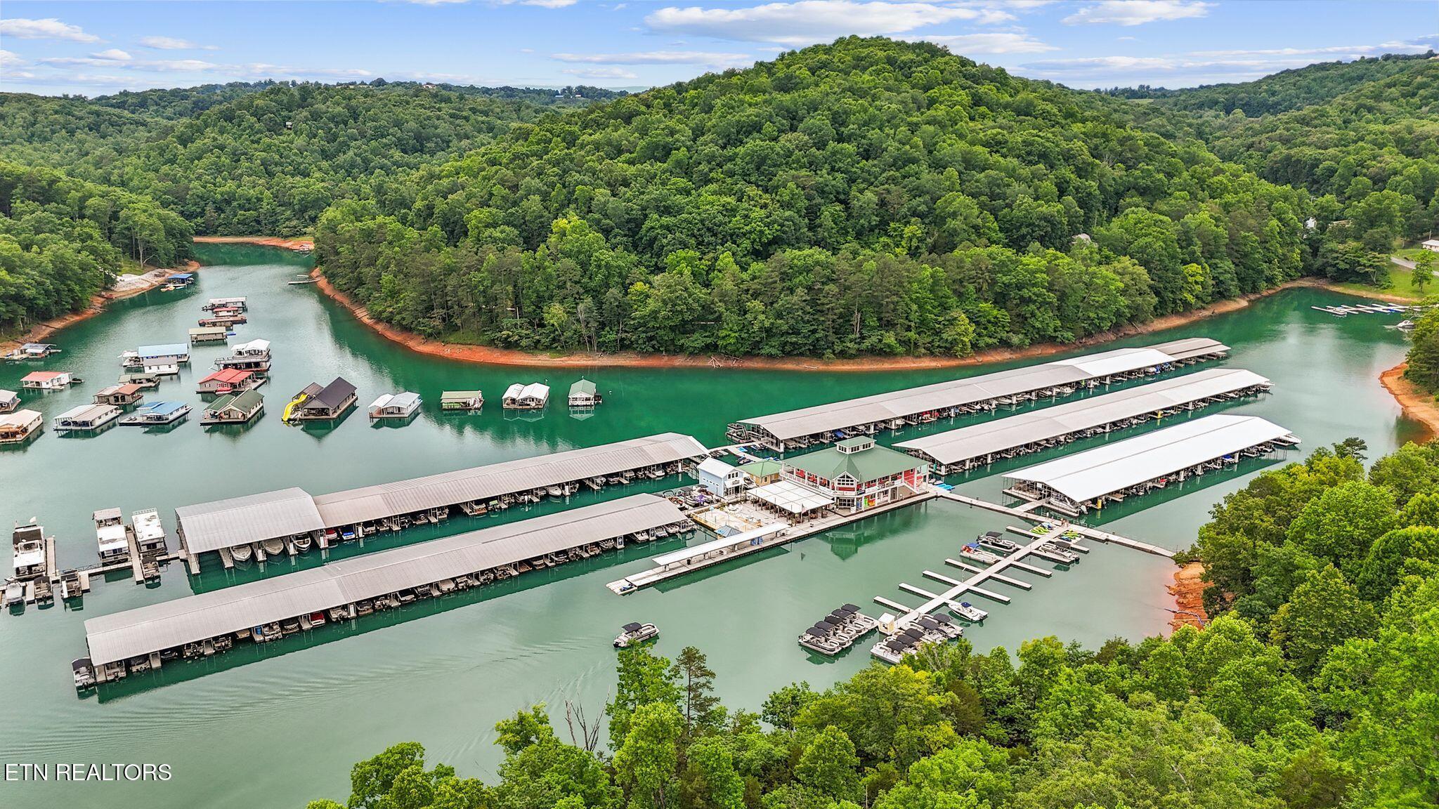 Norris Lake Real Estate - Image# 53