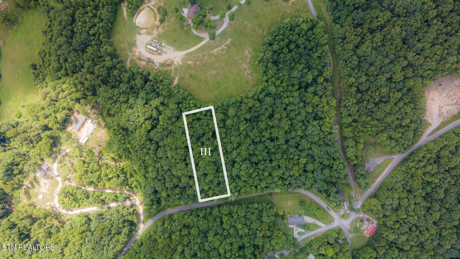 Norris Lake Real Estate - Image# 2