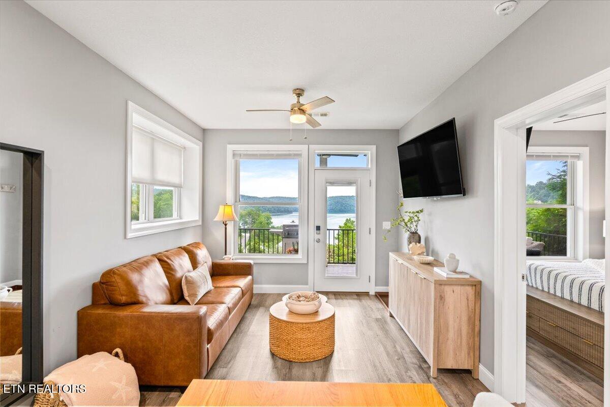 Norris Lake Real Estate - Image# 10