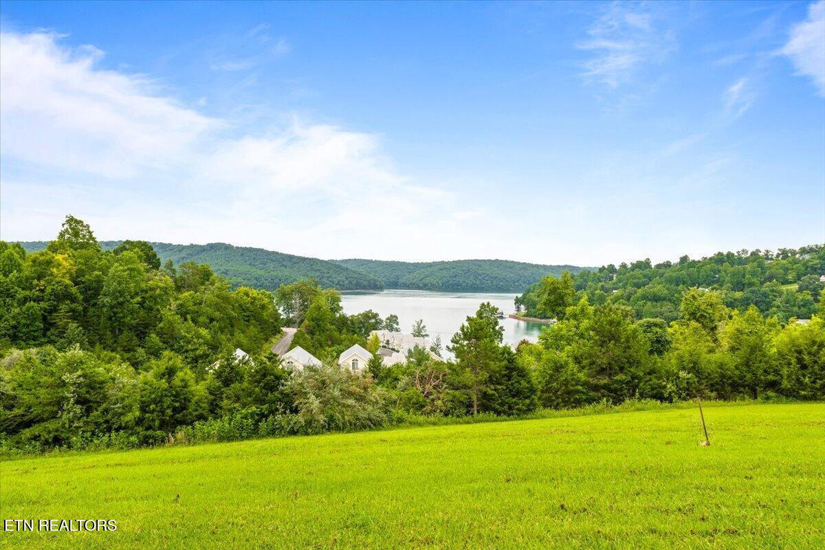 Norris Lake Real Estate - Image# 22