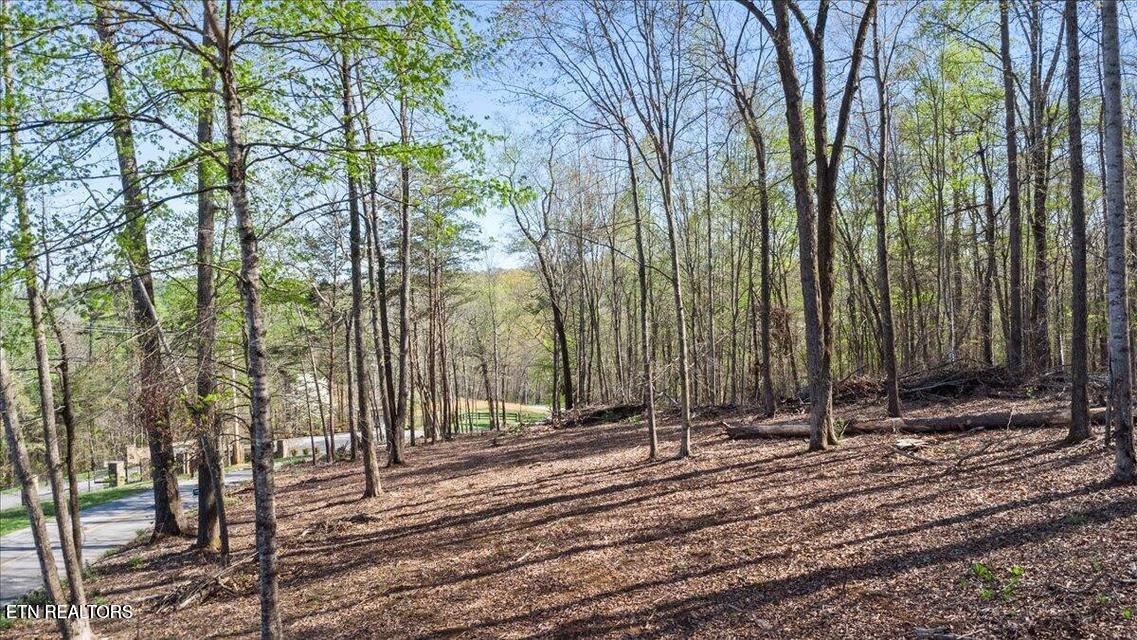 Norris Lake Real Estate - Image# 7