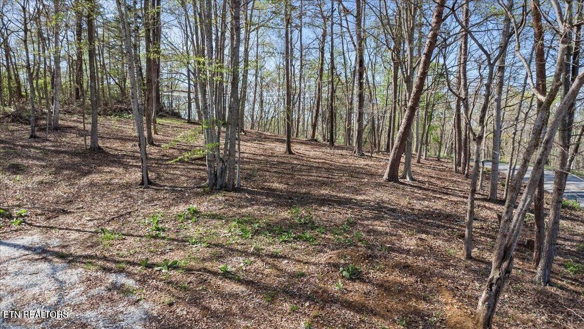Norris Lake Real Estate - Image# 15