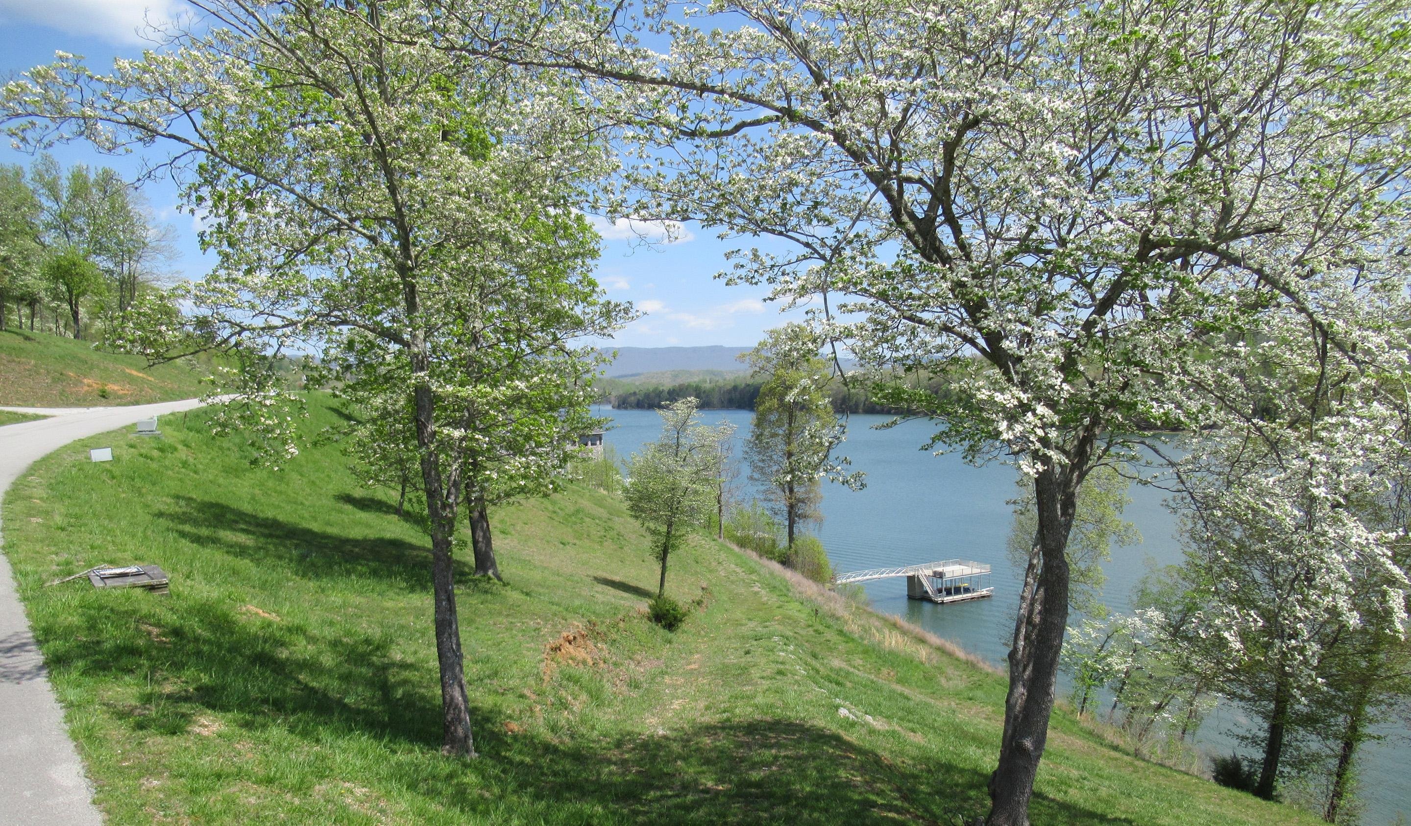 Norris Lake Real Estate - Image# 6