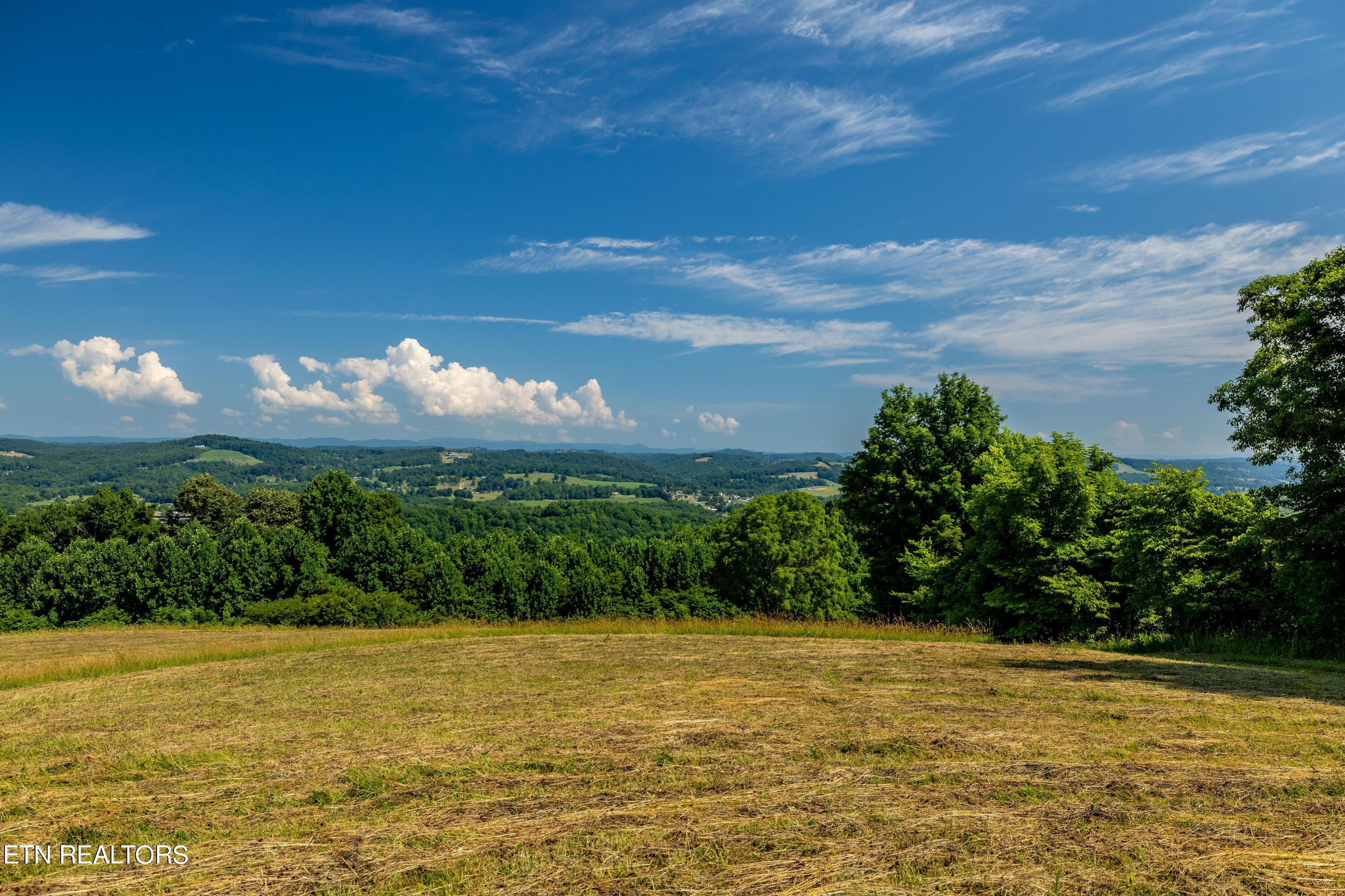 6485 Maynardville Hwy, Maynardville, TN - Norris Lake Real Estate - Image# 3