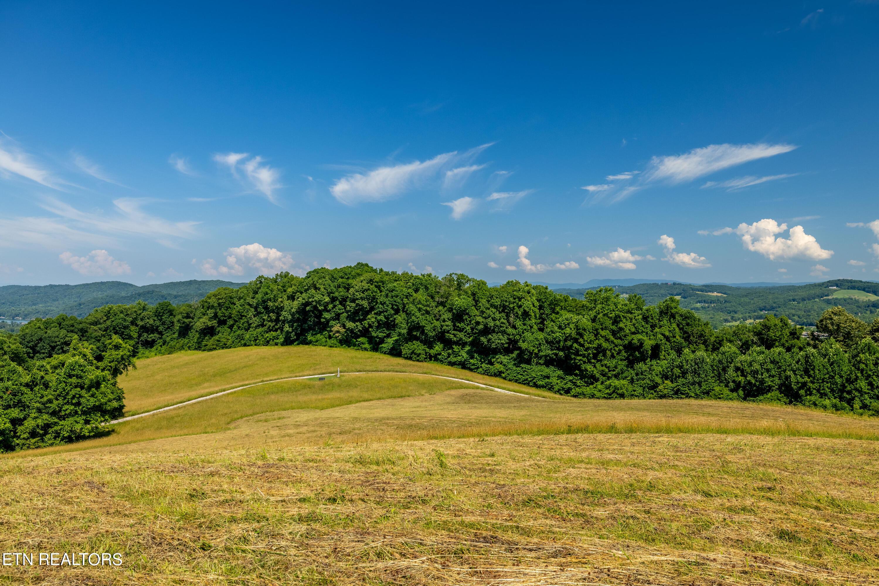 6485 Maynardville Hwy, Maynardville, TN - Norris Lake Real Estate - Image# 35