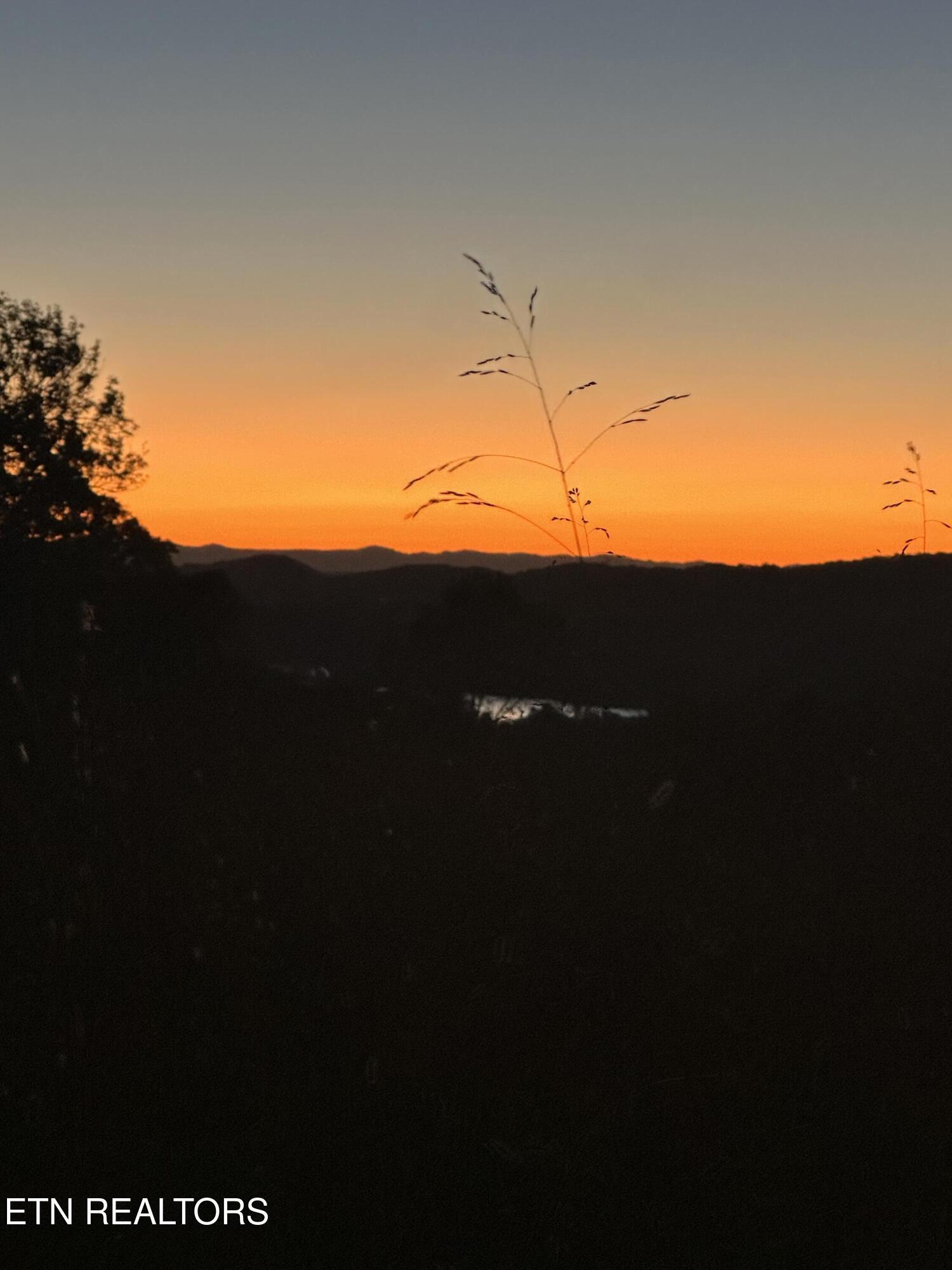 6485 Maynardville Hwy, Maynardville, TN - Norris Lake Real Estate - Image# 60