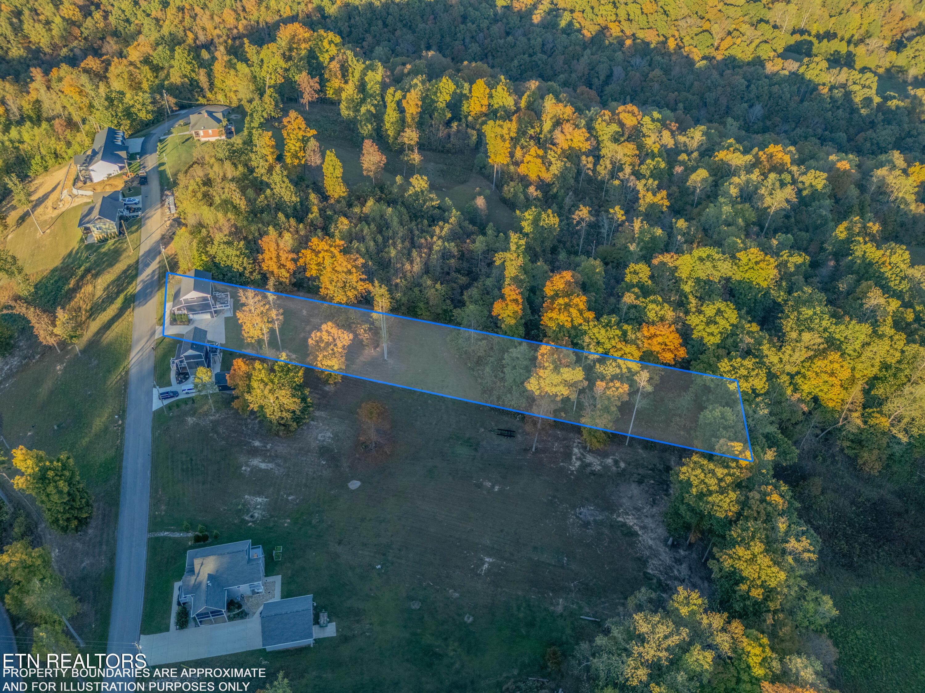 Norris Lake Real Estate - Image# 43