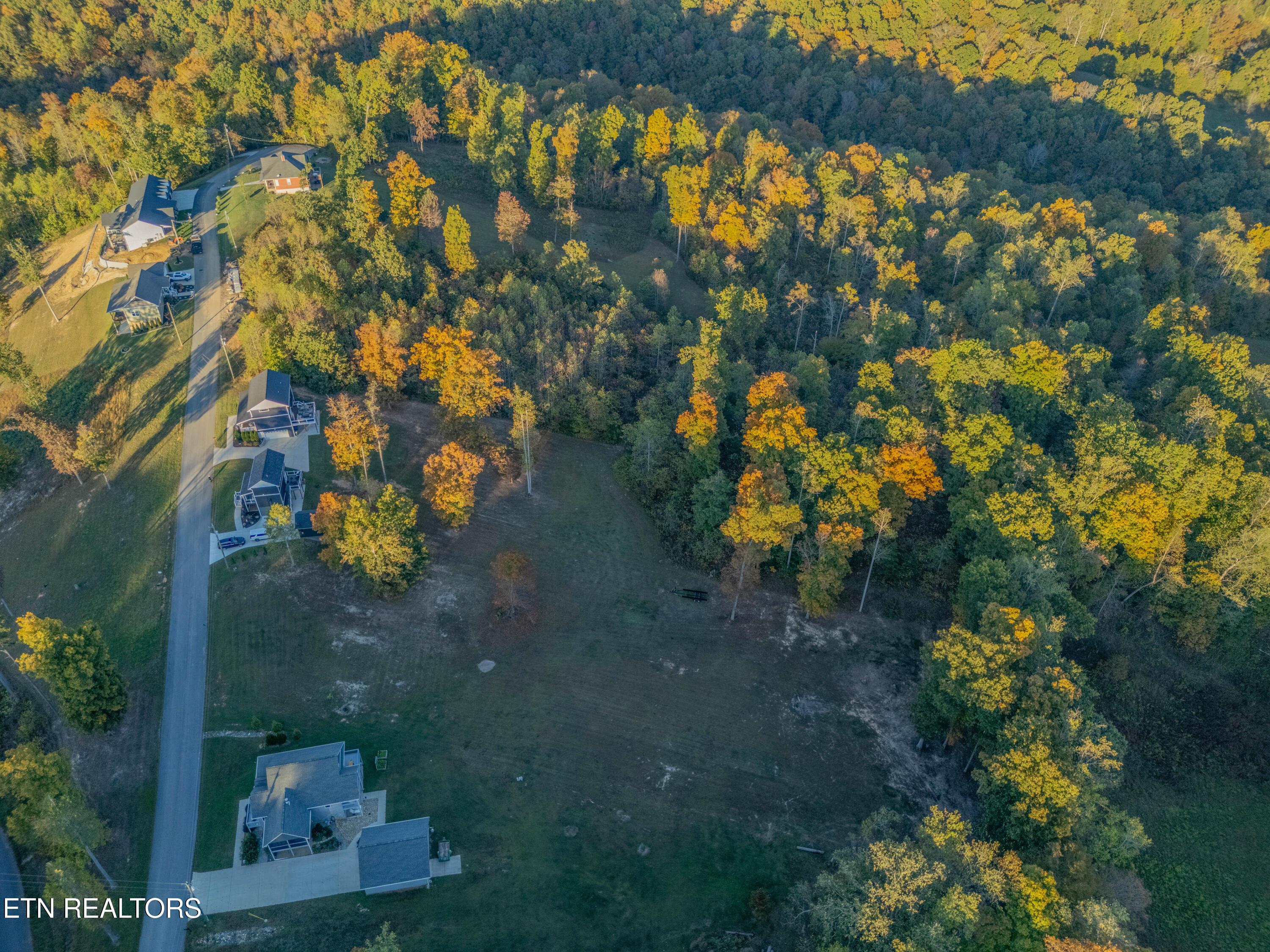 Norris Lake Real Estate - Image# 44