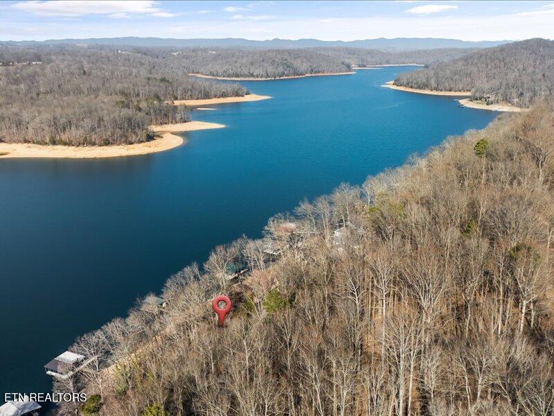 310 Hagaman Lane, Andersonville, TN - Norris Lake Real Estate - Image# 3