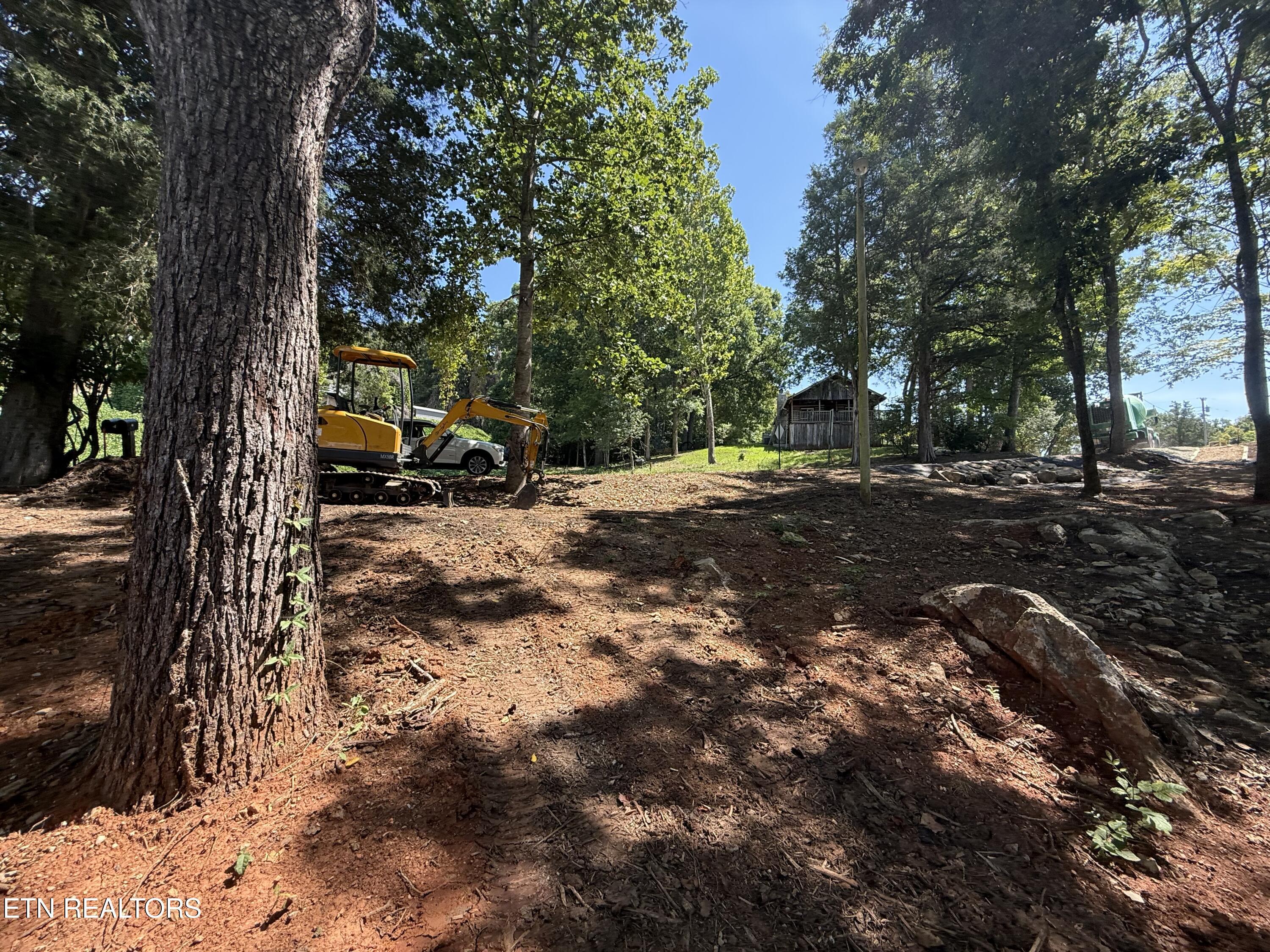 Norris Lake Real Estate - Image# 13