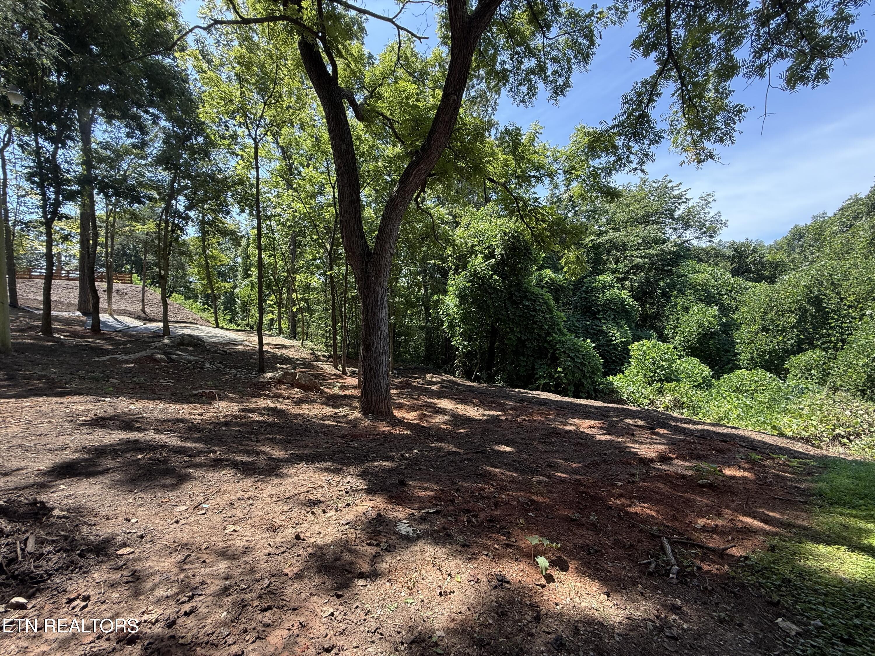 Norris Lake Real Estate - Image# 21