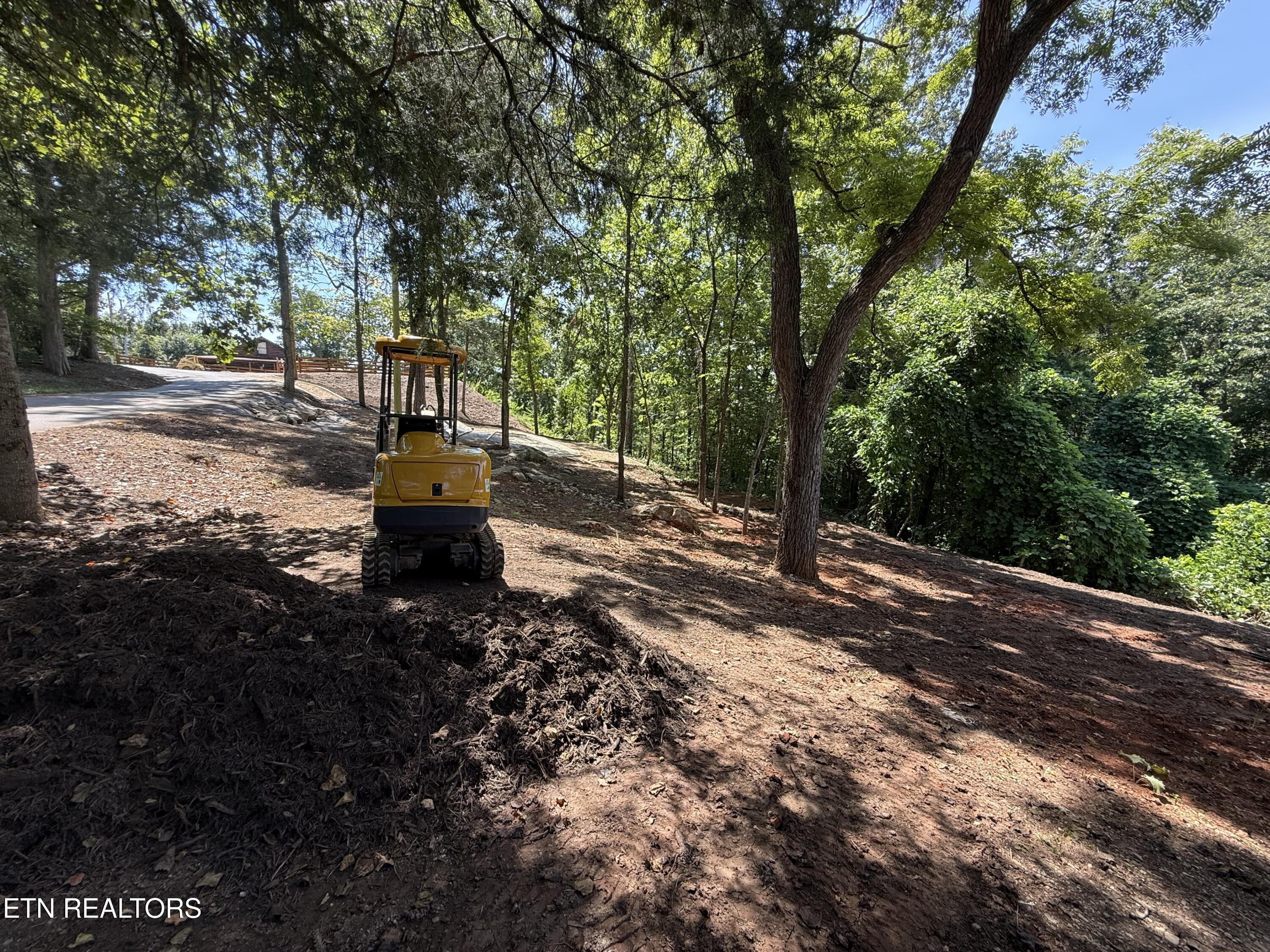 Norris Lake Real Estate - Image# 3