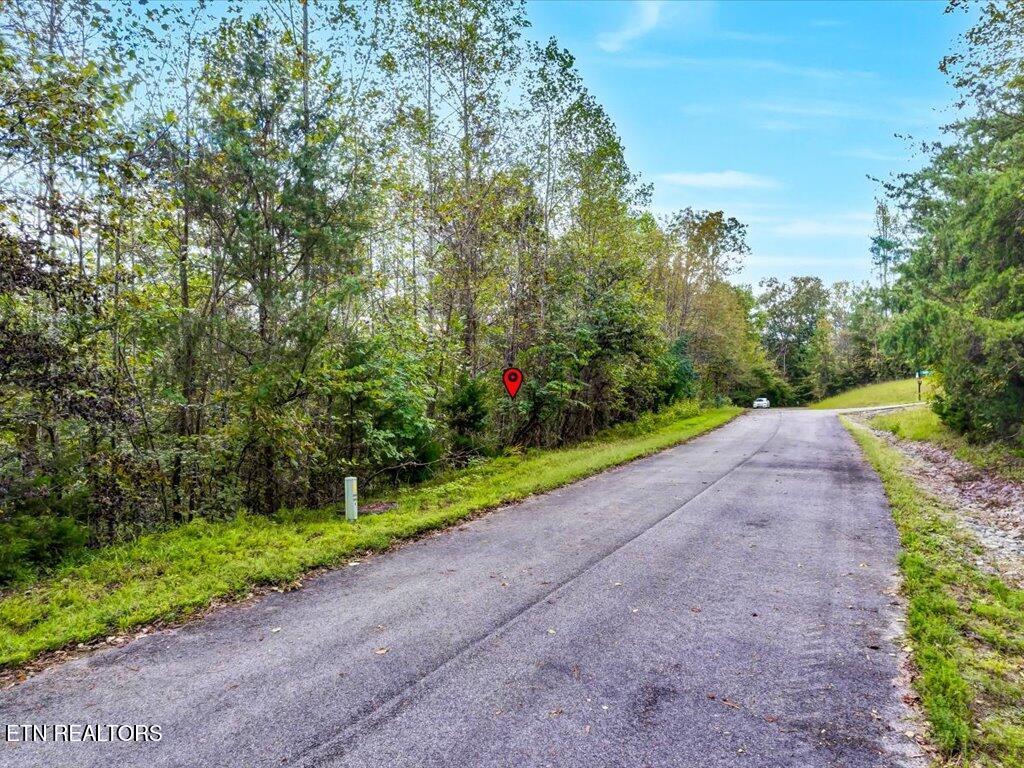 Lot 410 Mystic Star Drive, New Tazewell, TN - Norris Lake Real Estate - Image# 19