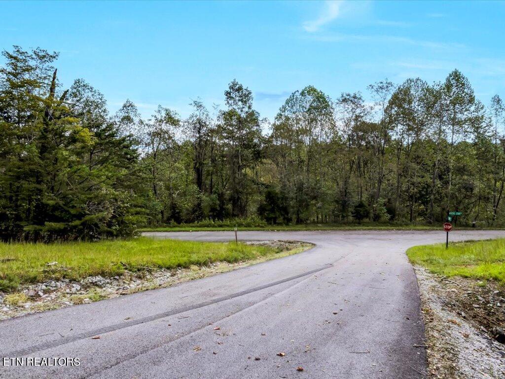 Lot 410 Mystic Star Drive, New Tazewell, TN - Norris Lake Real Estate - Image# 22