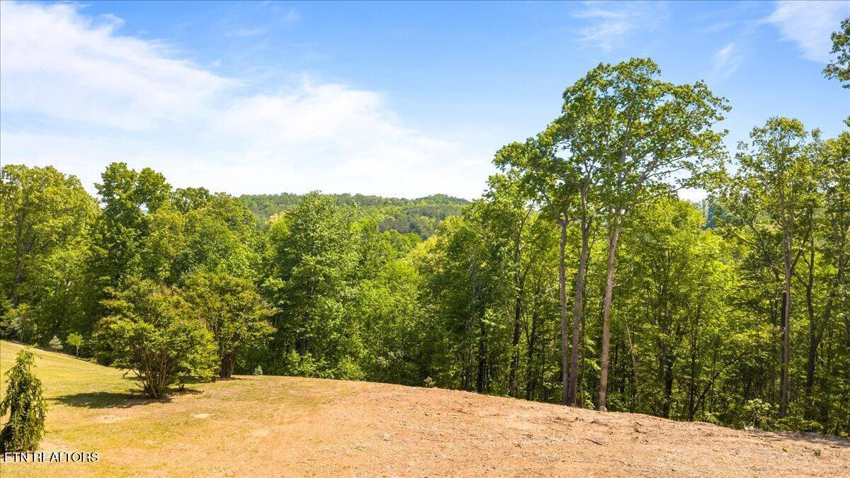 Cheri Lane, Caryville, TN - Norris Lake Real Estate - Image# 5
