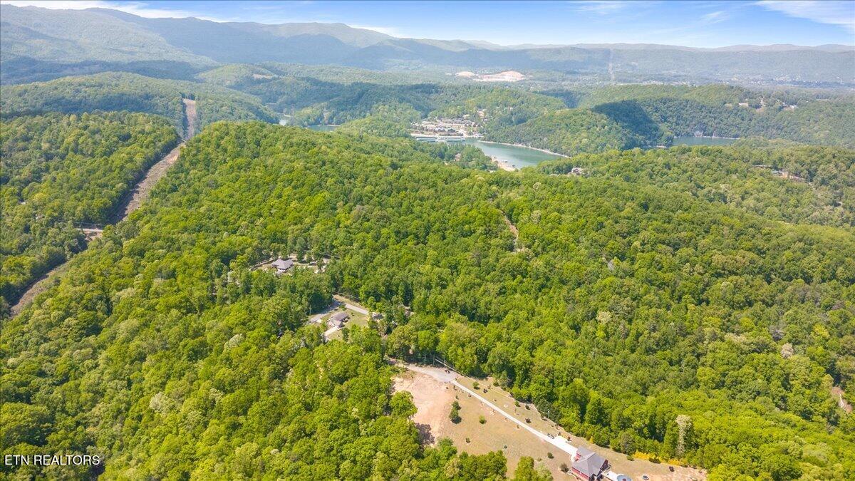 Cheri Lane, Caryville, TN - Norris Lake Real Estate - Image# 7