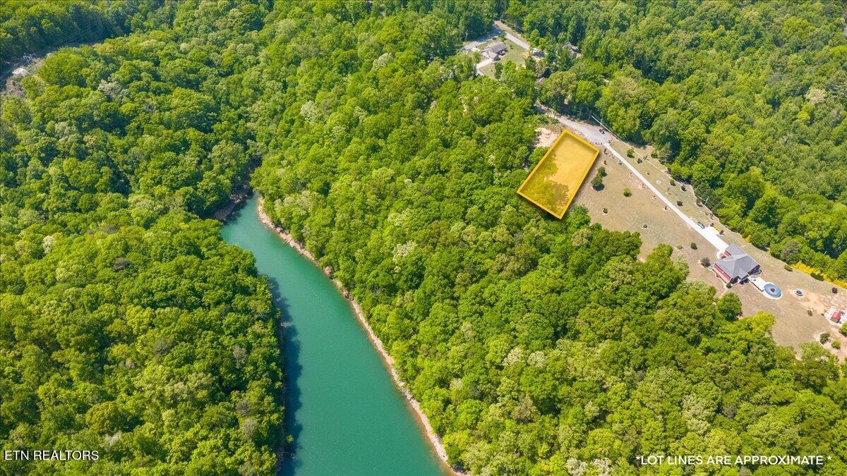 Cheri Lane, Caryville, TN - Norris Lake Real Estate - Image# 10