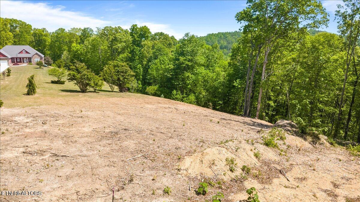 Cheri Lane, Caryville, TN - Norris Lake Real Estate - Image# 11