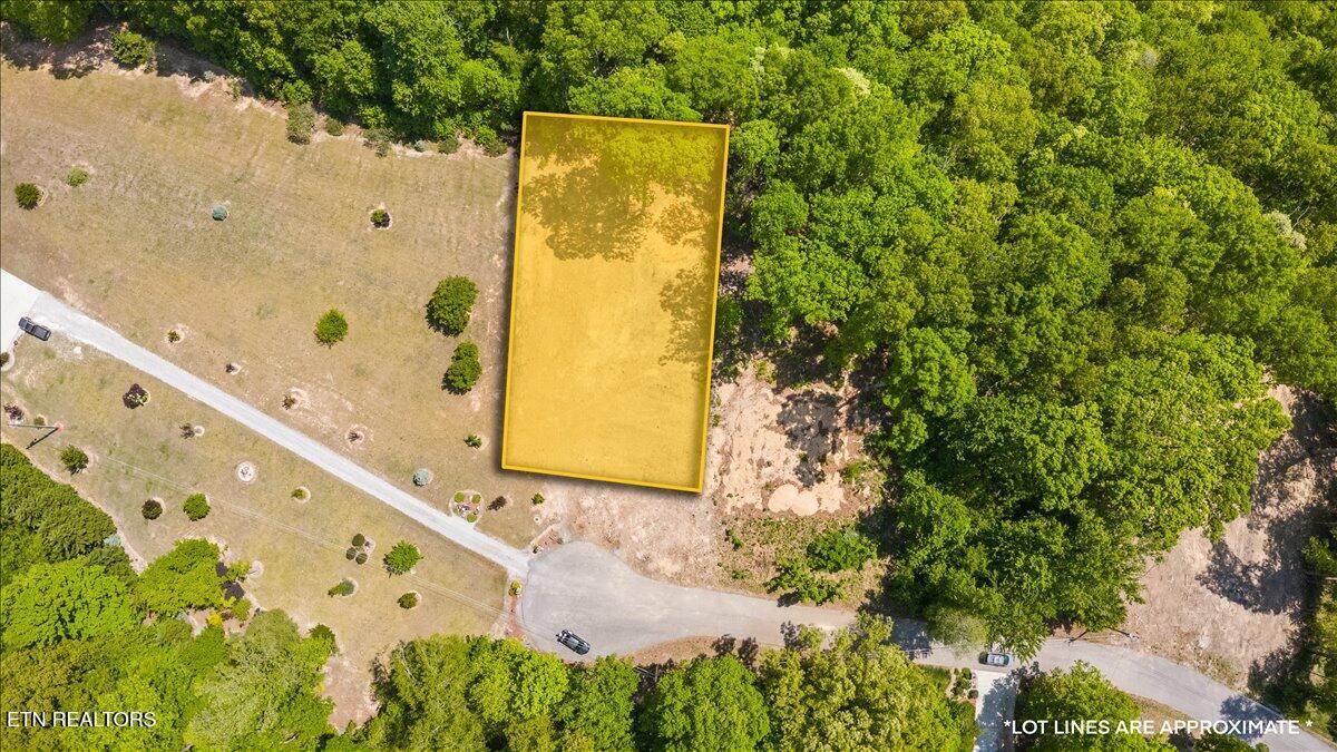 Cheri Lane, Caryville, TN - Norris Lake Real Estate - Image# 14