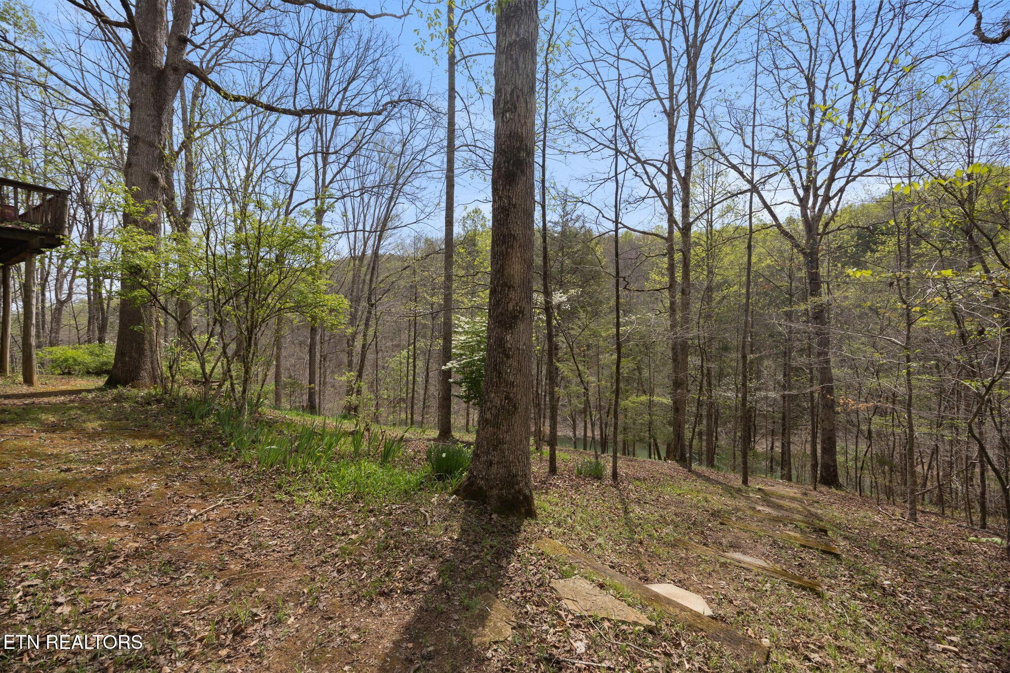 258 Marina Lane, Lafollette, TN - Norris Lake Real Estate - Image# 37