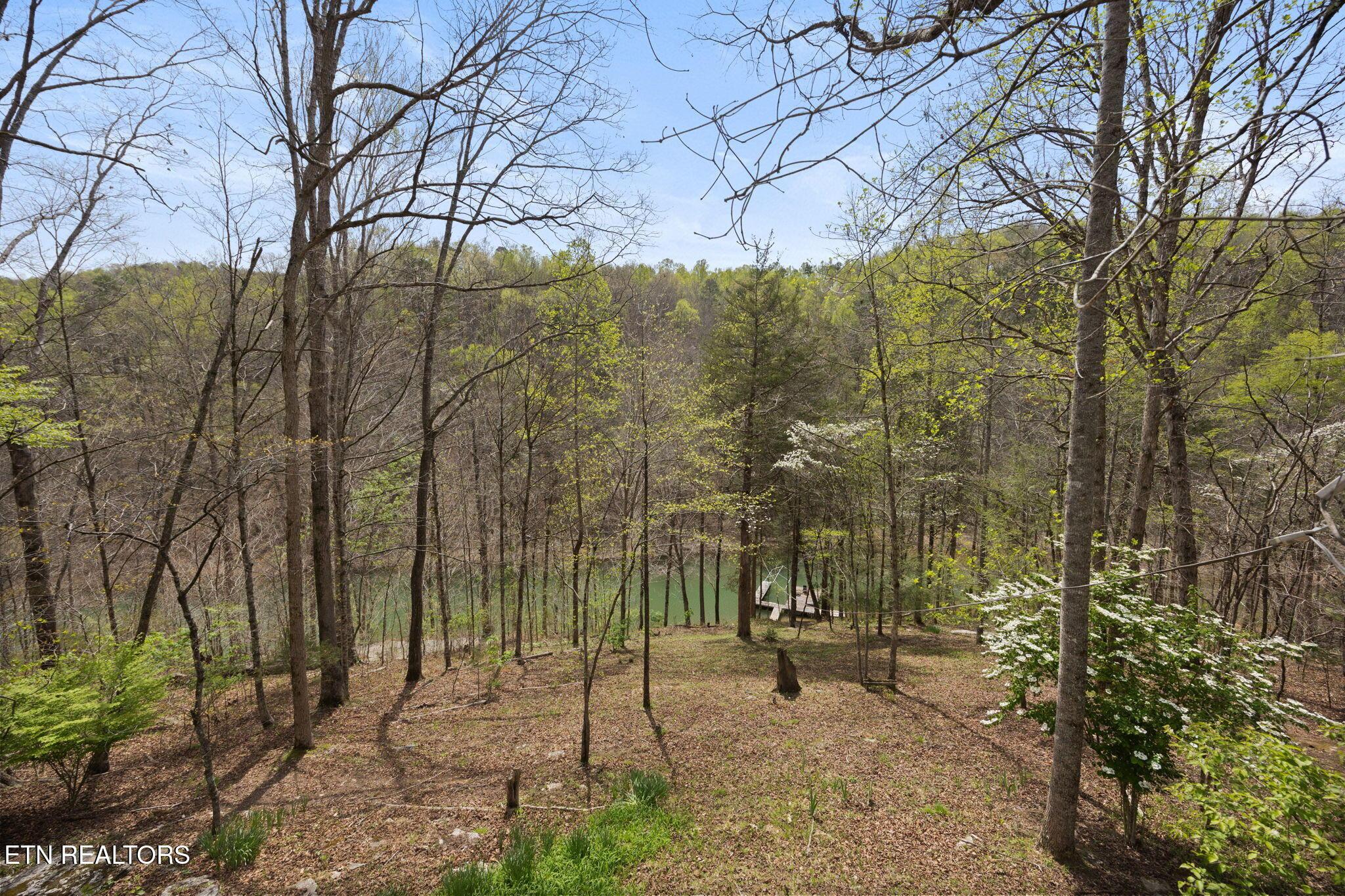 258 Marina Lane, Lafollette, TN - Norris Lake Real Estate - Image# 39