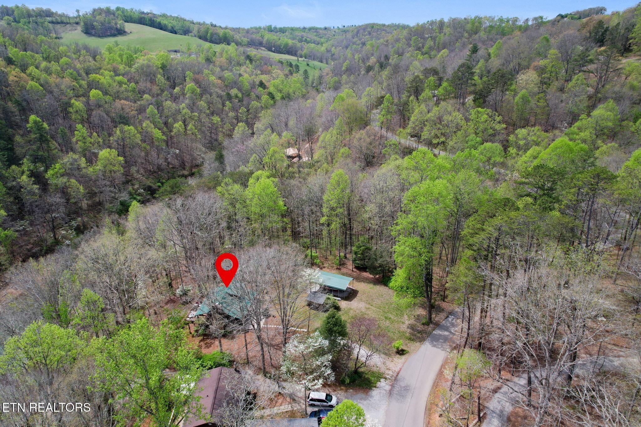 258 Marina Lane, Lafollette, TN - Norris Lake Real Estate - Image# 46