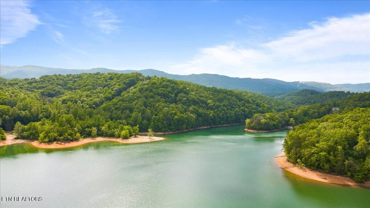 1304 N. Shorewood Lane, Caryville, TN - Norris Lake Real Estate - Image# 21