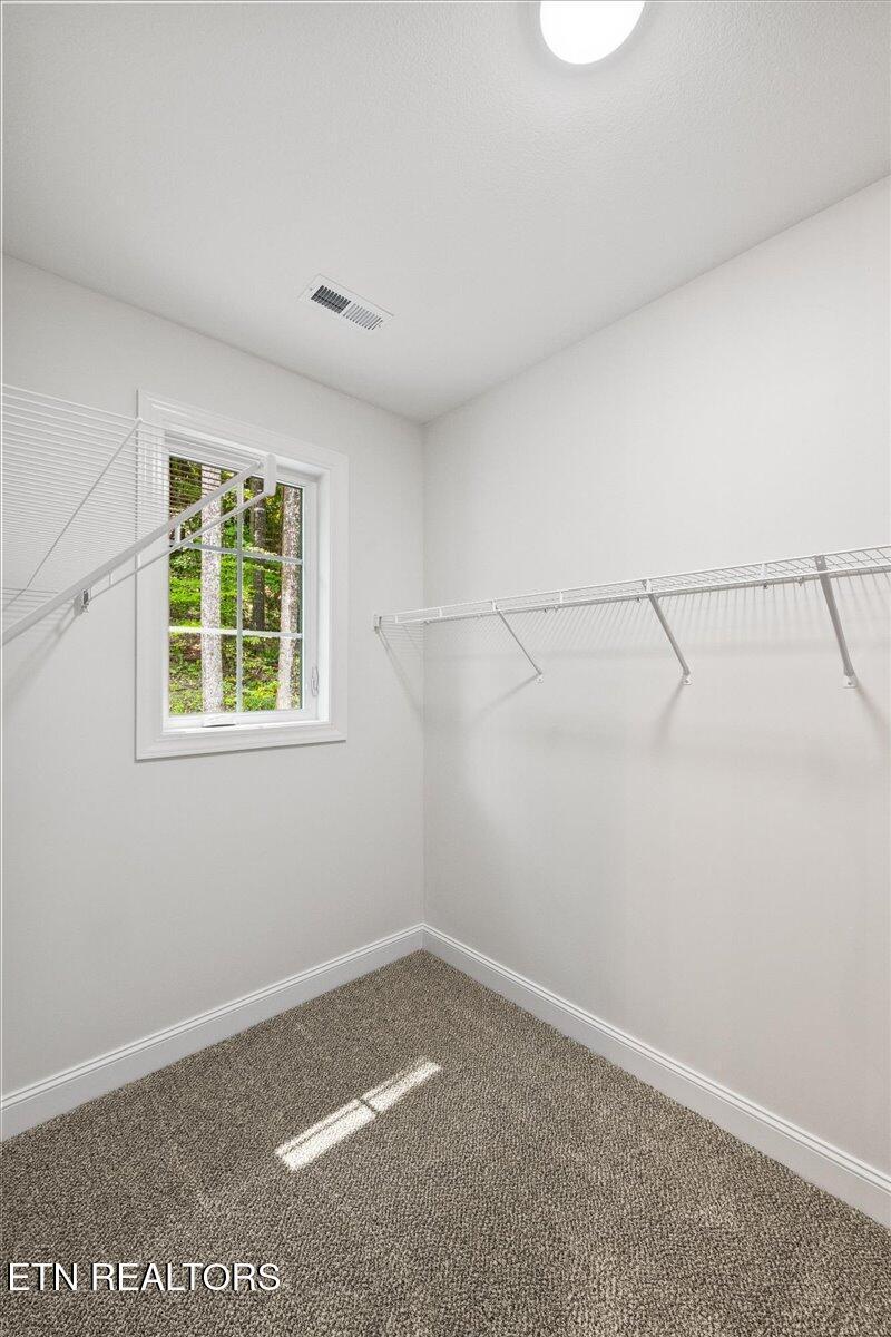 Norris Lake Real Estate - Image# 62