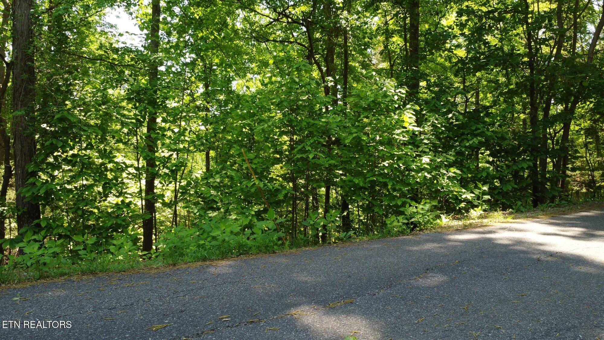 Deer Run Point, Lafollette, TN - Norris Lake Real Estate - Image# 1