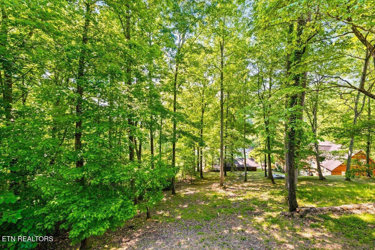 264 Rain Valley Rd, Lafollette, TN - Norris Lake Real Estate - Image# 38
