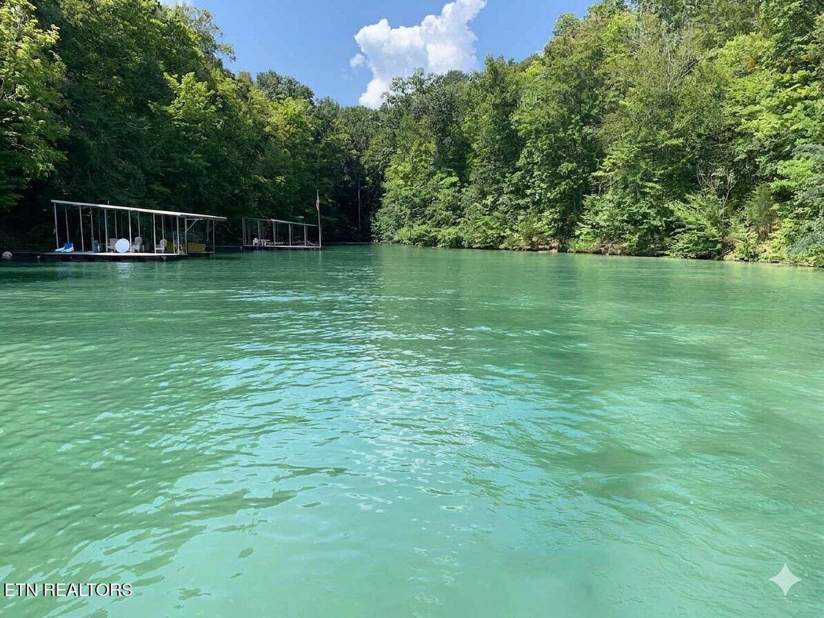 Norris Lake Real Estate - Image# 8