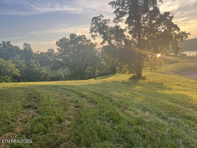 Sierra Ridge, Sharps Chapel, TN - Norris Lake Real Estate - Image# 5