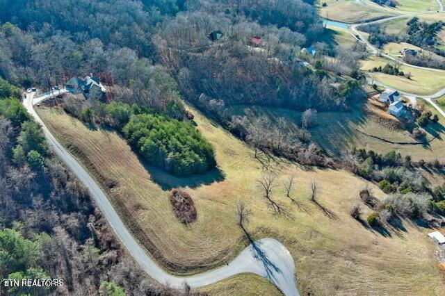 Sierra Ridge, Sharps Chapel, TN - Norris Lake Real Estate - Image# 9
