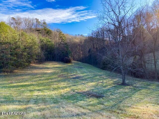 Sierra Ridge, Sharps Chapel, TN - Norris Lake Real Estate - Image# 11