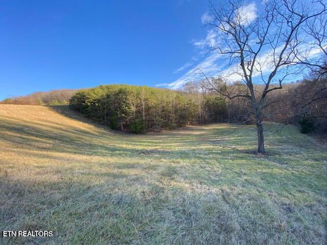 Sierra Ridge, Sharps Chapel, TN - Norris Lake Real Estate - Image# 12