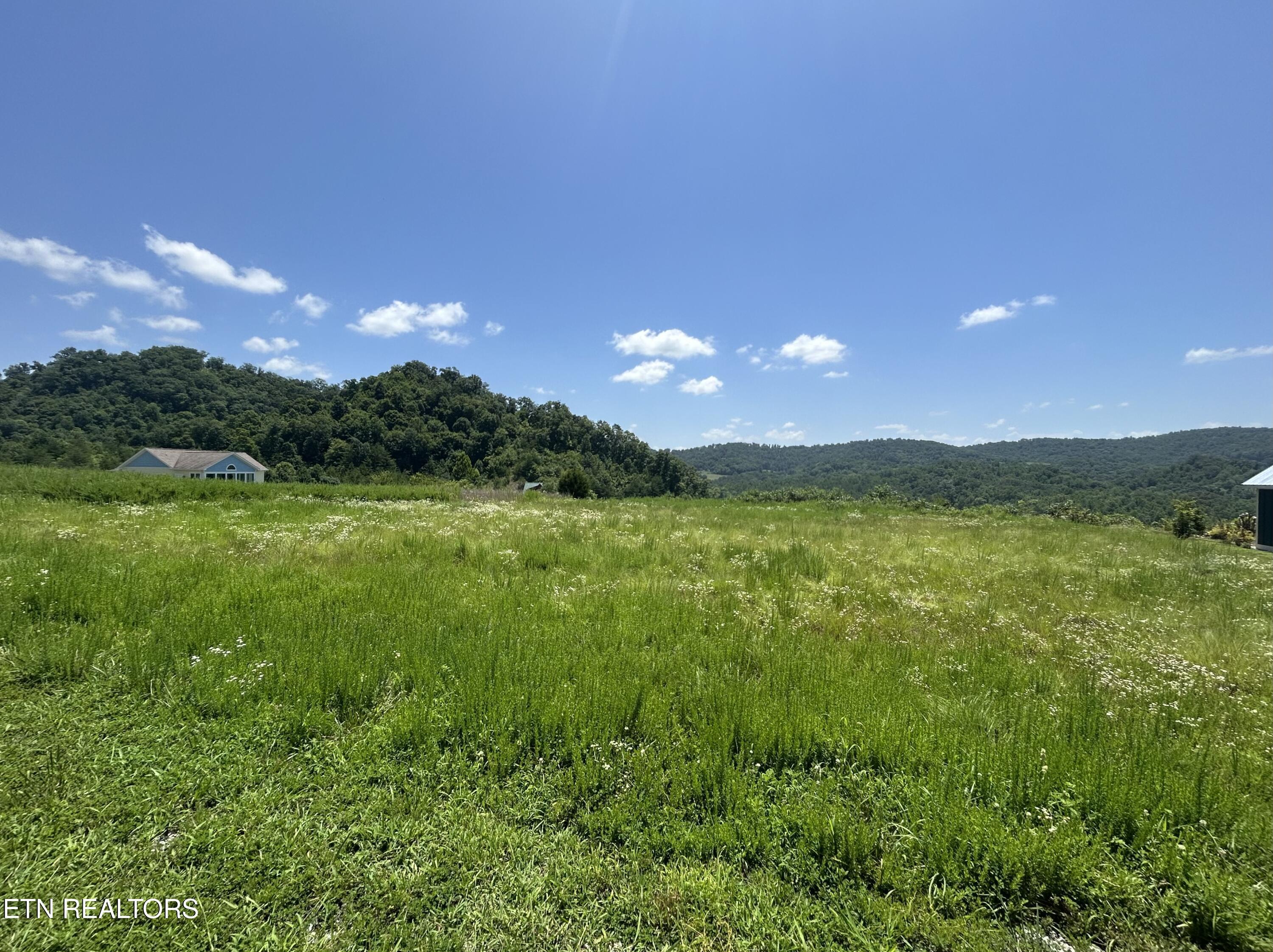 Norris Lake Real Estate - Image# 17