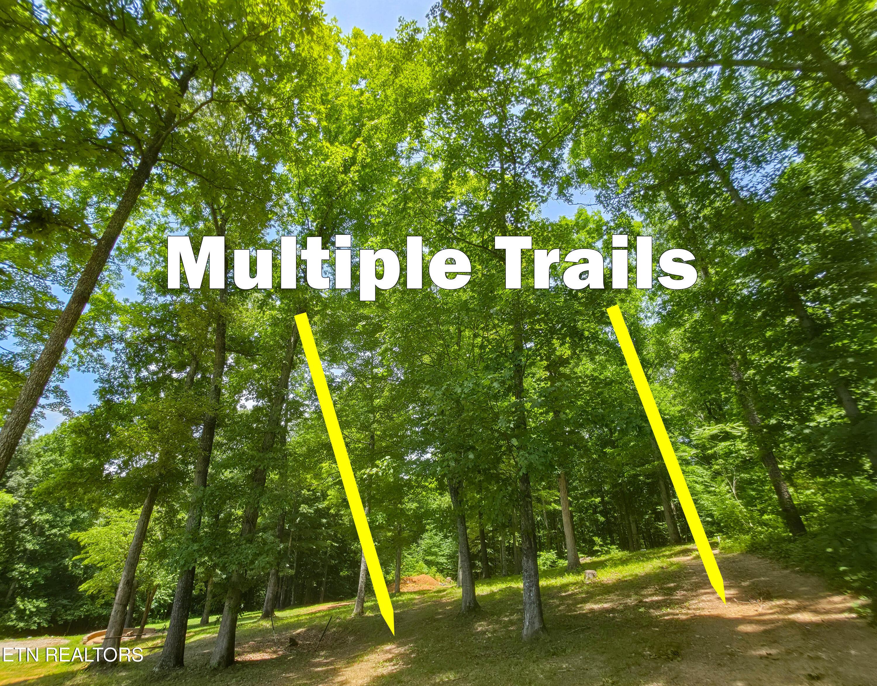 103 Pinnacle Pointe Way, Sharps Chapel, TN - Norris Lake Real Estate - Image# 100