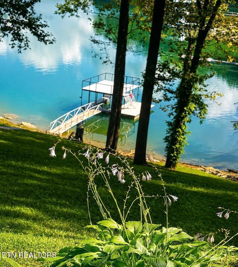 353 Beech Grove Loop, Sharps Chapel, TN - Norris Lake Real Estate - Image# 12