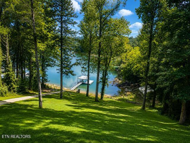 353 Beech Grove Loop, Sharps Chapel, TN - Norris Lake Real Estate - Image# 9