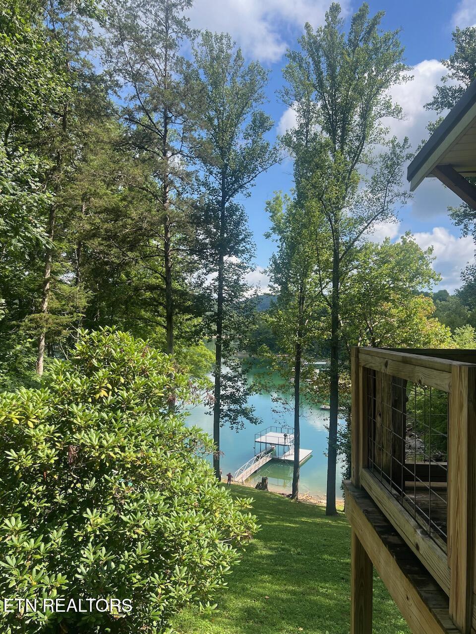 353 Beech Grove Loop, Sharps Chapel, TN - Norris Lake Real Estate - Image# 8