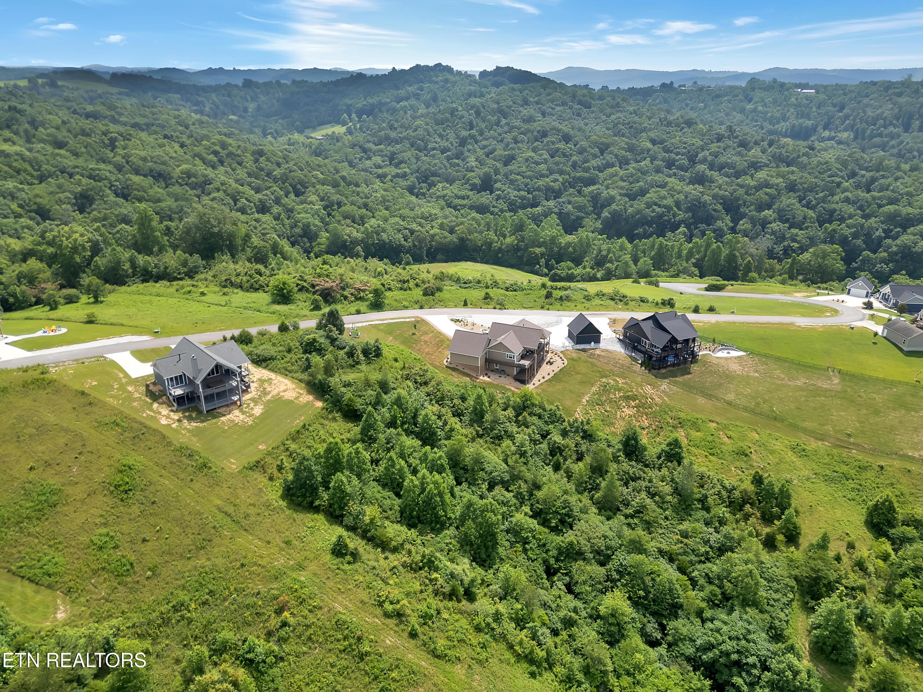 Lot 98 Pinnacle Lane, Lafollette, TN - Norris Lake Real Estate - Image# 13