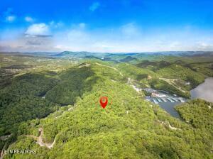 Norris Lake Real Estate - Image# 3