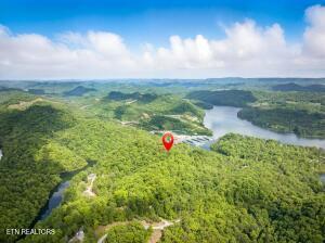 Norris Lake Real Estate - Image# 4
