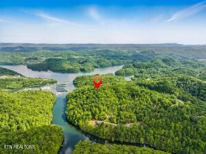 Norris Lake Real Estate - Image# 6