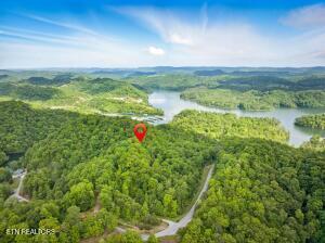 Norris Lake Real Estate - Image# 12