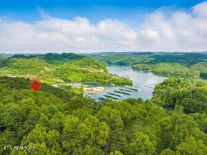 Norris Lake Real Estate - Image# 13