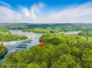 Norris Lake Real Estate - Image# 14