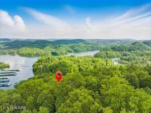 Norris Lake Real Estate - Image# 15